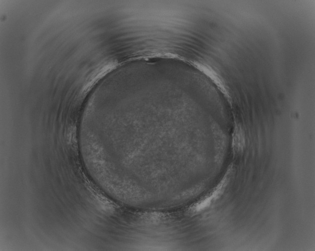 X0000089660881200707121156