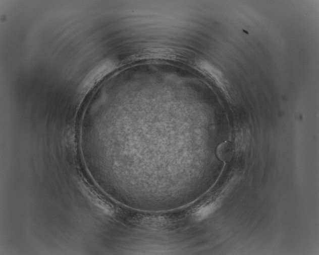 X0000089660882200707121156