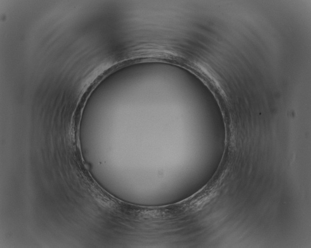 X0000089660883200707121156