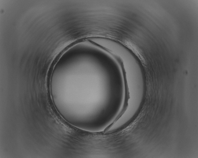 X0000089660884200707121156