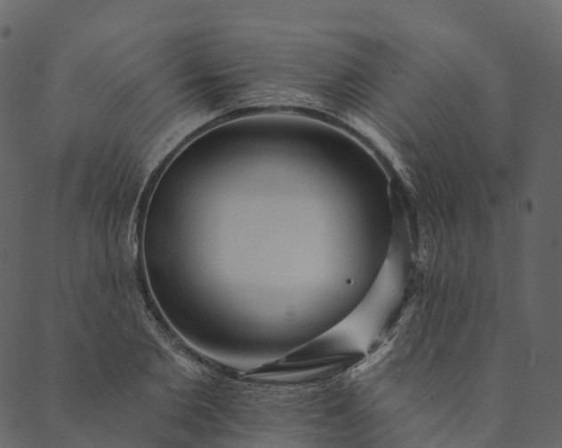 X0000089660885200707121156