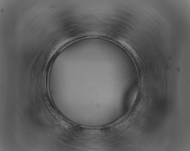 X0000089660886200707121156