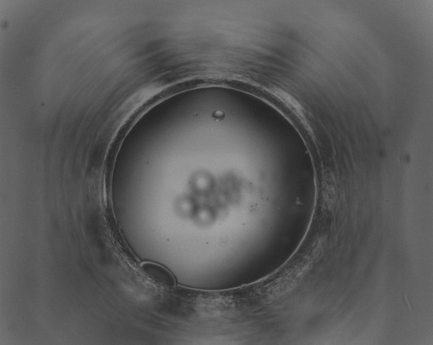 X0000089660887200707121156