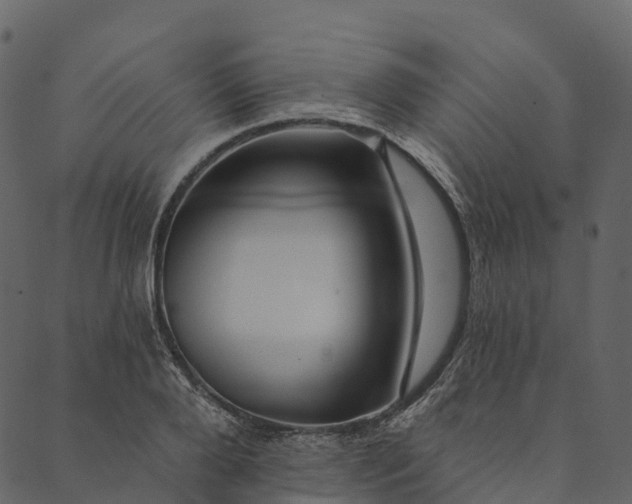 X0000089660888200707121156