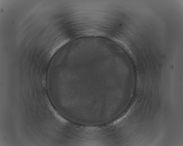 X0000089660889200707121156