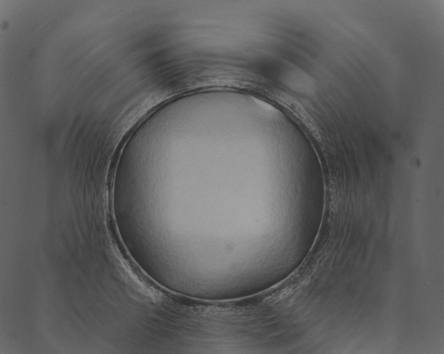 X0000089660890200707121156