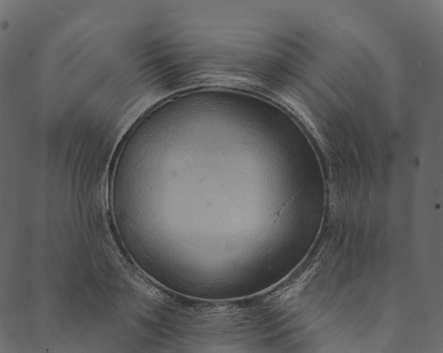 X0000089660891200707121156