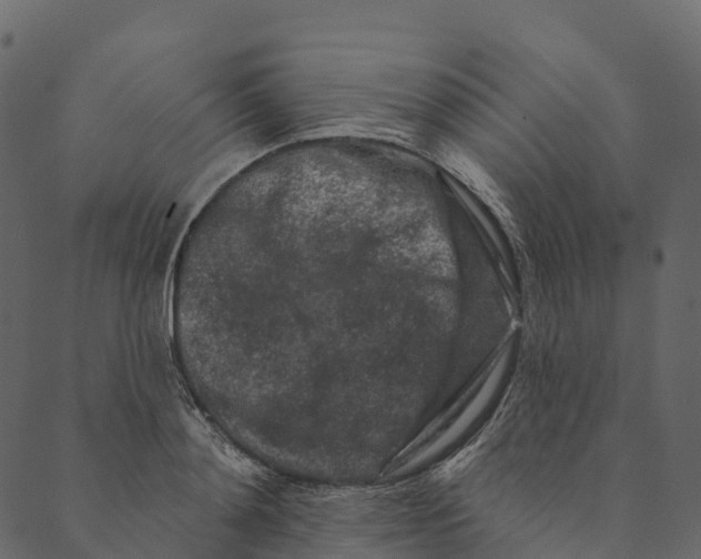 X0000089660892200707121156