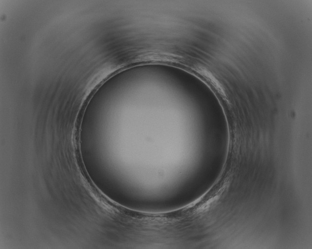 X0000089660893200707121156