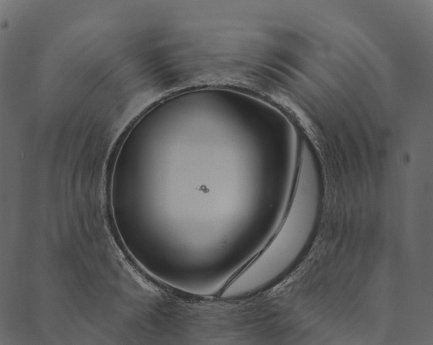 X0000089660894200707121156