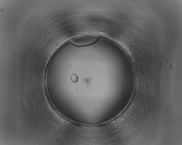 X0000089660895200707121156