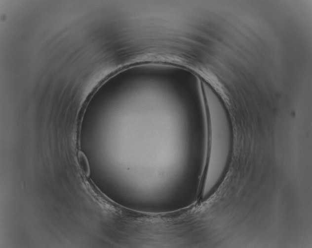 X0000089660896200707121156