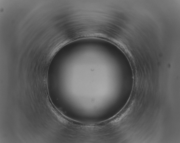 X0000089660897200707121156