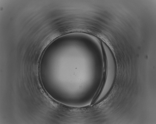 X0000089660898200707121156