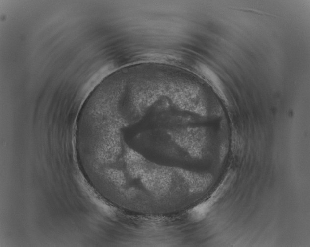 X0000089660899200707121156