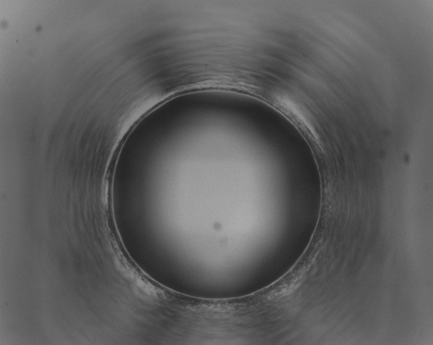 X0000089660900200707121156