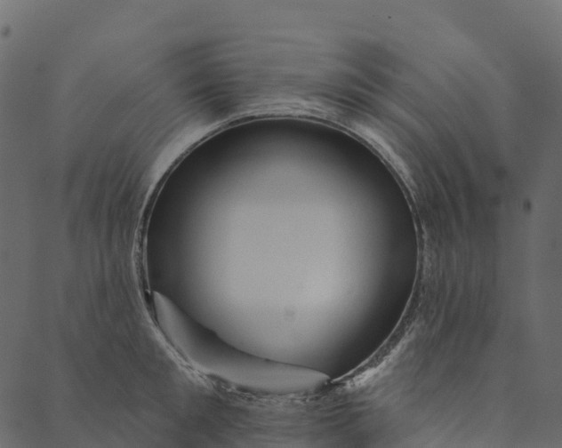 X0000089660901200707121156