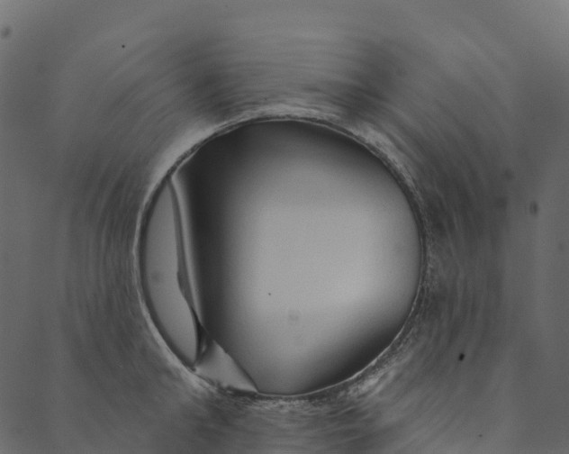 X0000089660902200707121156