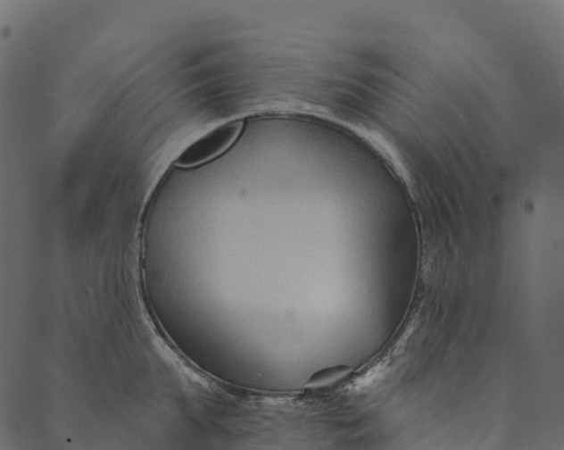 X0000089660903200707121156