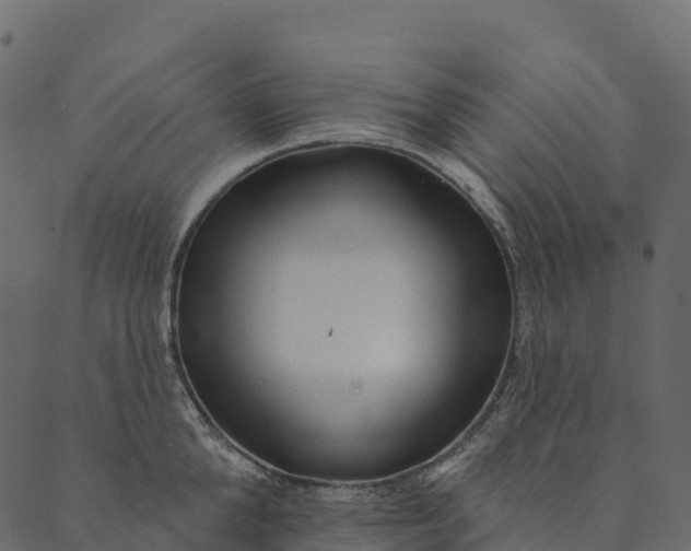 X0000089660904200707121156