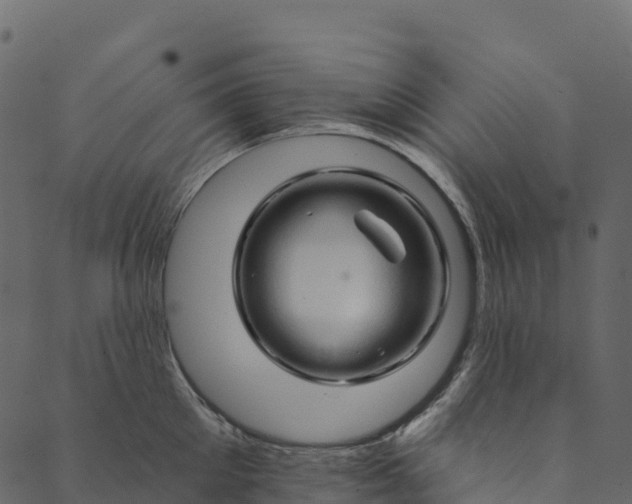 X0000089660905200707121156