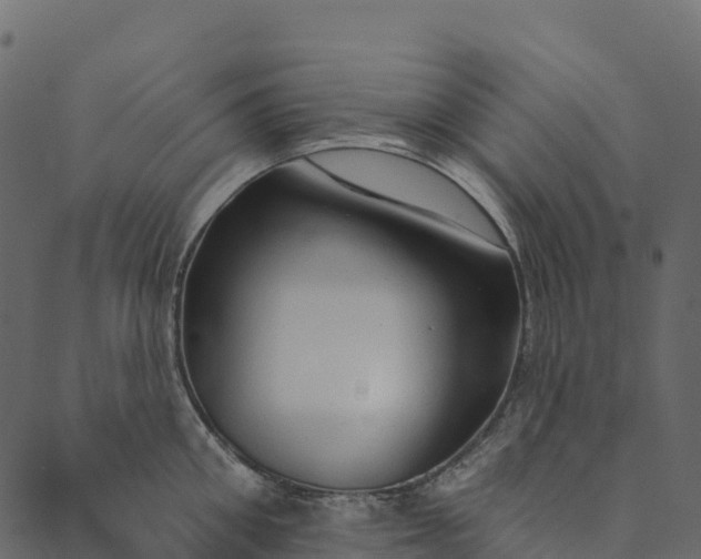 X0000089660906200707121156