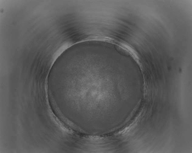 X0000089660907200707121156