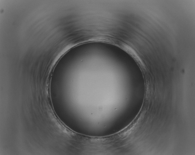 X0000089660908200707121156