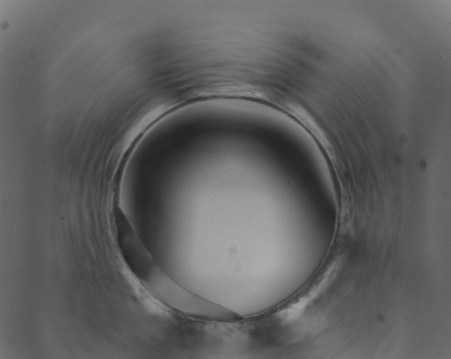 X0000089660909200707121156