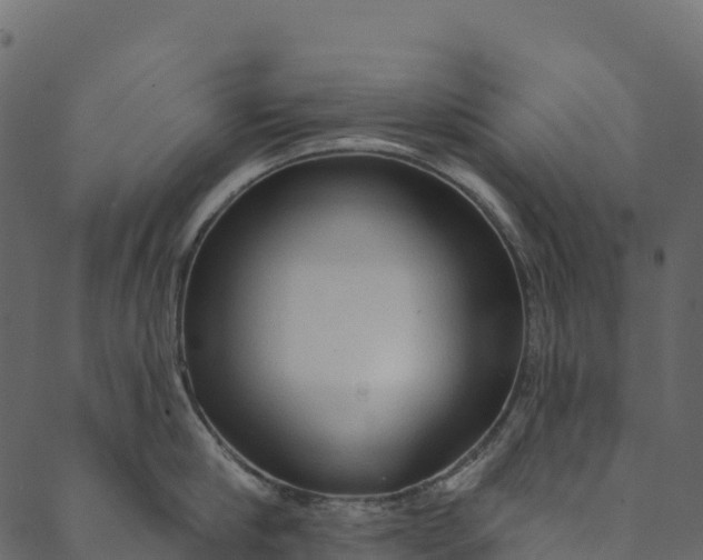 X0000089660910200707121156