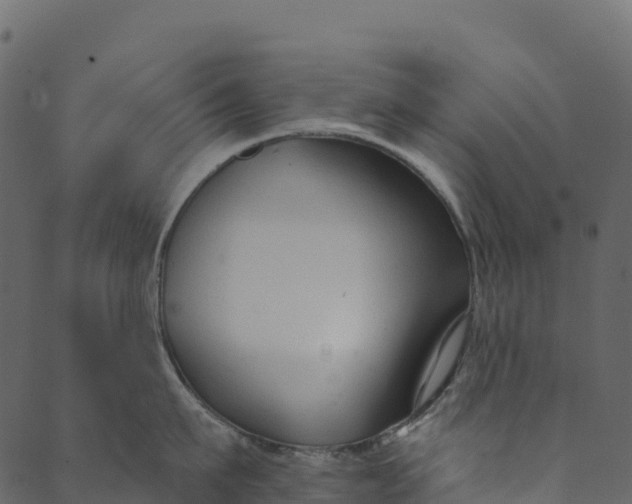 X0000089660911200707121156