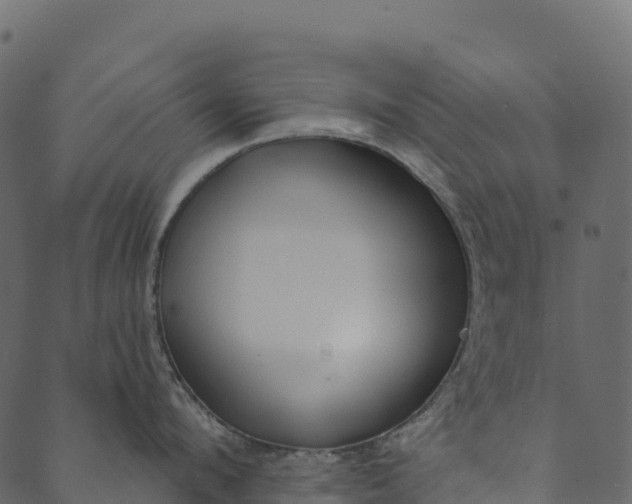 X0000089660912200707121156