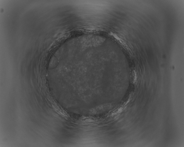 X0000089660913200707121155