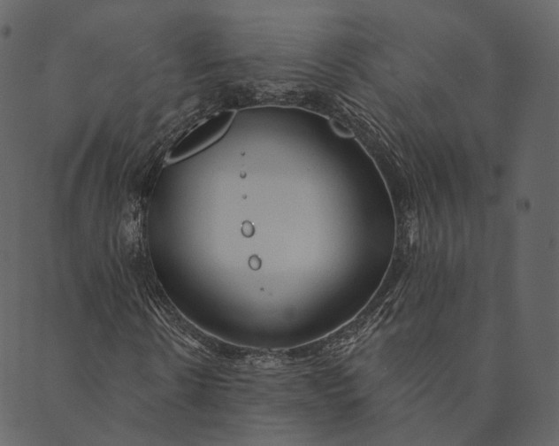 X0000089660914200707121155