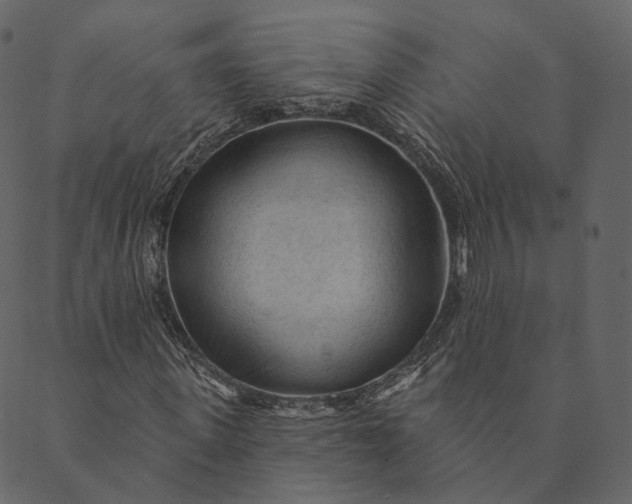 X0000089660915200707121155