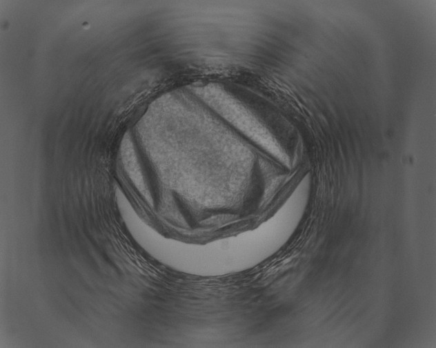 X0000089660916200707121155