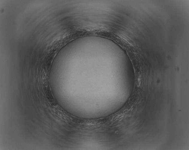 X0000089660917200707121155