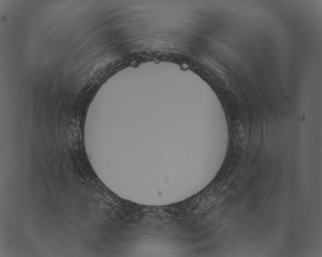 X0000089660918200707121155