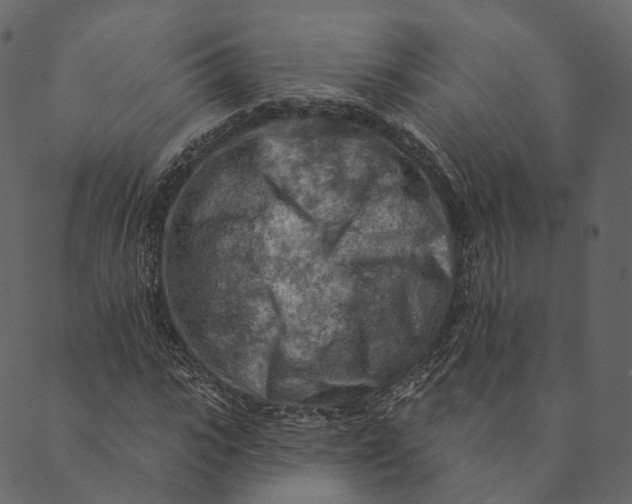 X0000089660919200707121155