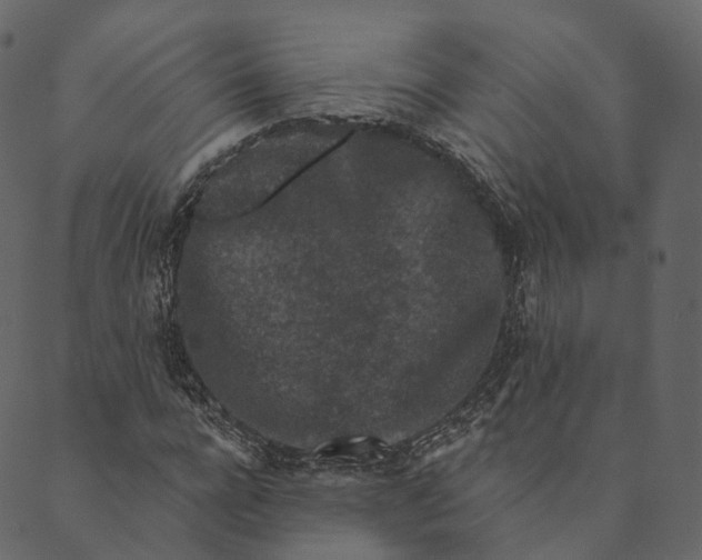 X0000089660920200707121155