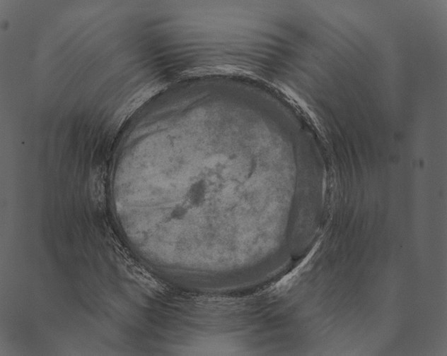 X0000089660921200707121155