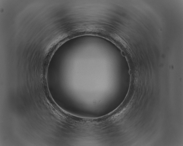 X0000089660922200707121155