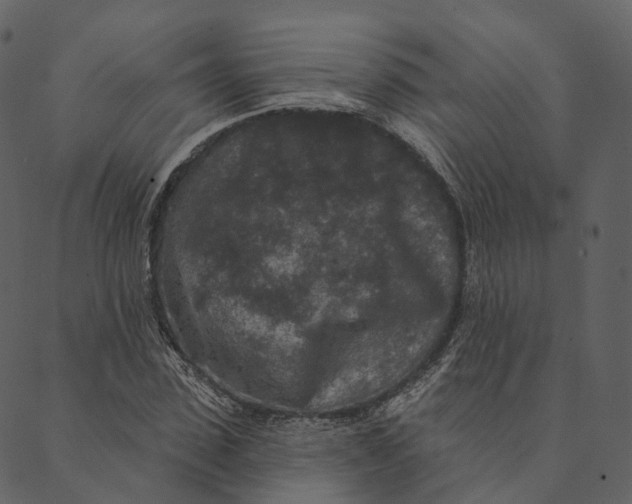 X0000089660923200707121155