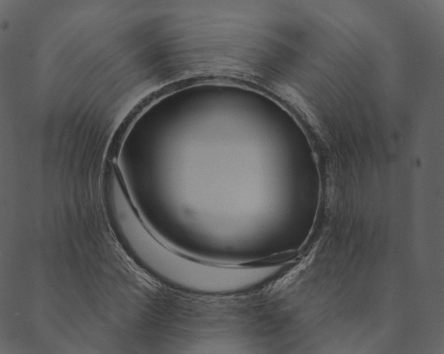 X0000089660924200707121155