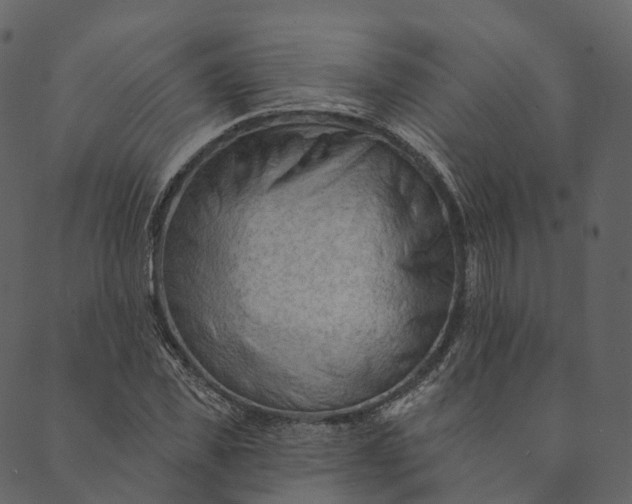 X0000089660925200707121155