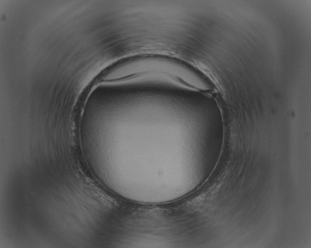 X0000089660926200707121155