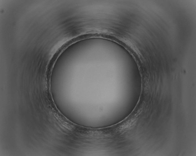 X0000089660927200707121155