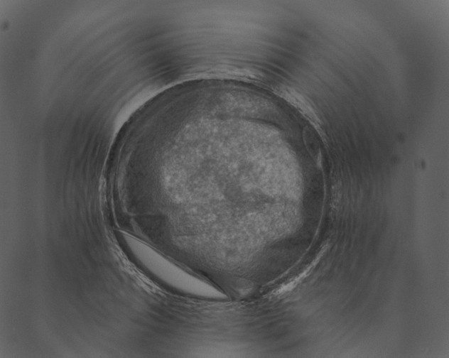 X0000089660928200707121155