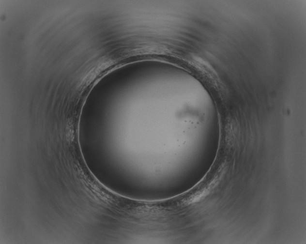 X0000089660929200707121155