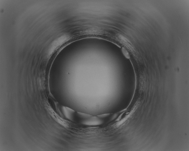 X0000089660930200707121155